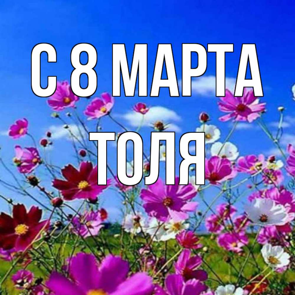Открытка на каждый день с именем, Толя С 8 МАРТА цветы Прикольная открытка с пожеланием онлайн скачать бесплатно 