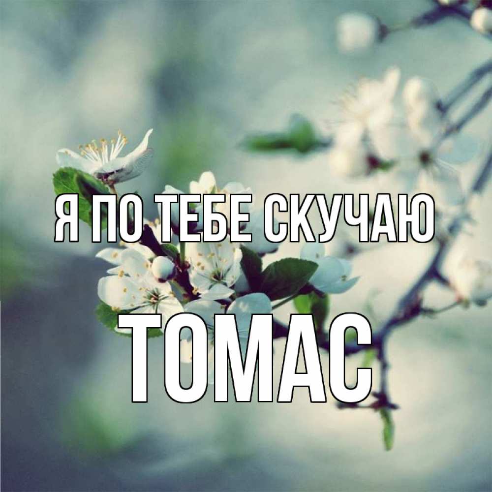 Открытка на каждый день с именем, Томас Я по тебе скучаю весна Прикольная открытка с пожеланием онлайн скачать бесплатно 