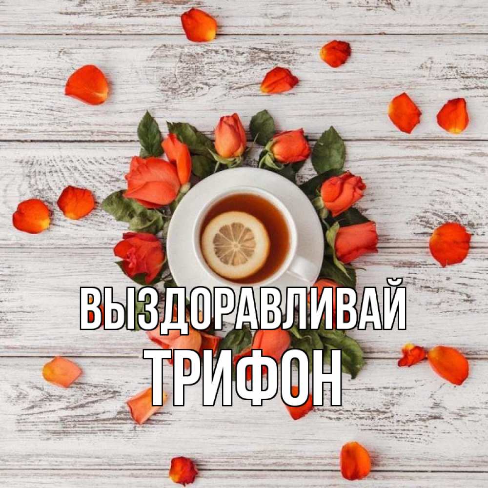 Открытка на каждый день с именем, Трифон Выздоравливай фон из досок Прикольная открытка с пожеланием онлайн скачать бесплатно 