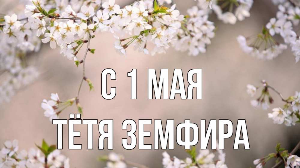 Открытка на каждый день с именем, Тётя-Земфира С 1 мая С 1 мая Прикольная открытка с пожеланием онлайн скачать бесплатно 