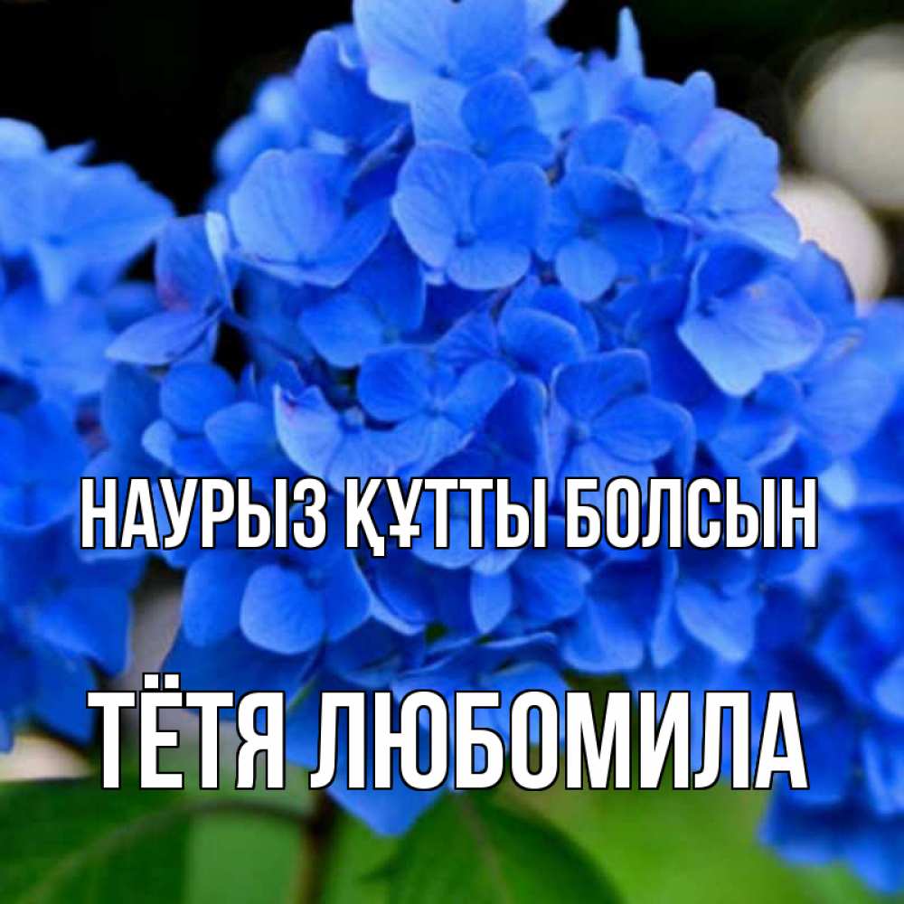 Открытка на каждый день с именем, Тётя-Любомила Наурыз құтты болсын синие цветы Прикольная открытка с пожеланием онлайн скачать бесплатно 