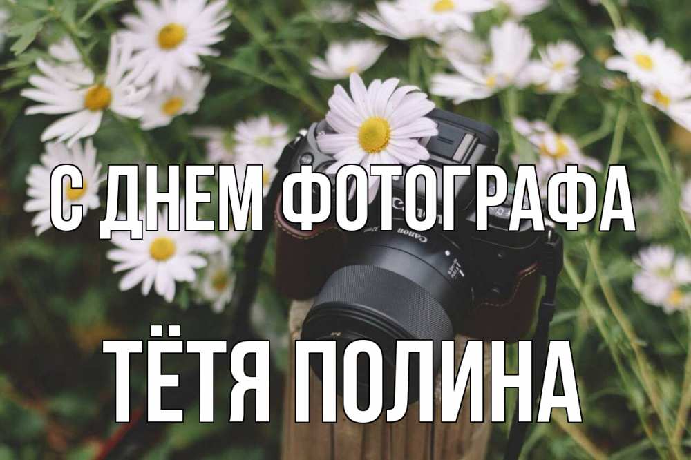 Открытка на каждый день с именем, Тётя-Полина С днем фотографа с днем фотографа Прикольная открытка с пожеланием онлайн скачать бесплатно 