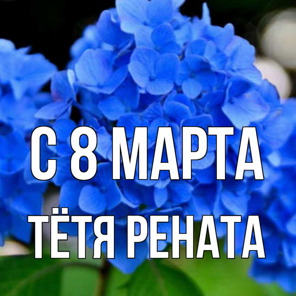 Открытка на каждый день с именем, Тётя-Рената С 8 МАРТА синие цветы Прикольная открытка с пожеланием онлайн скачать бесплатно 