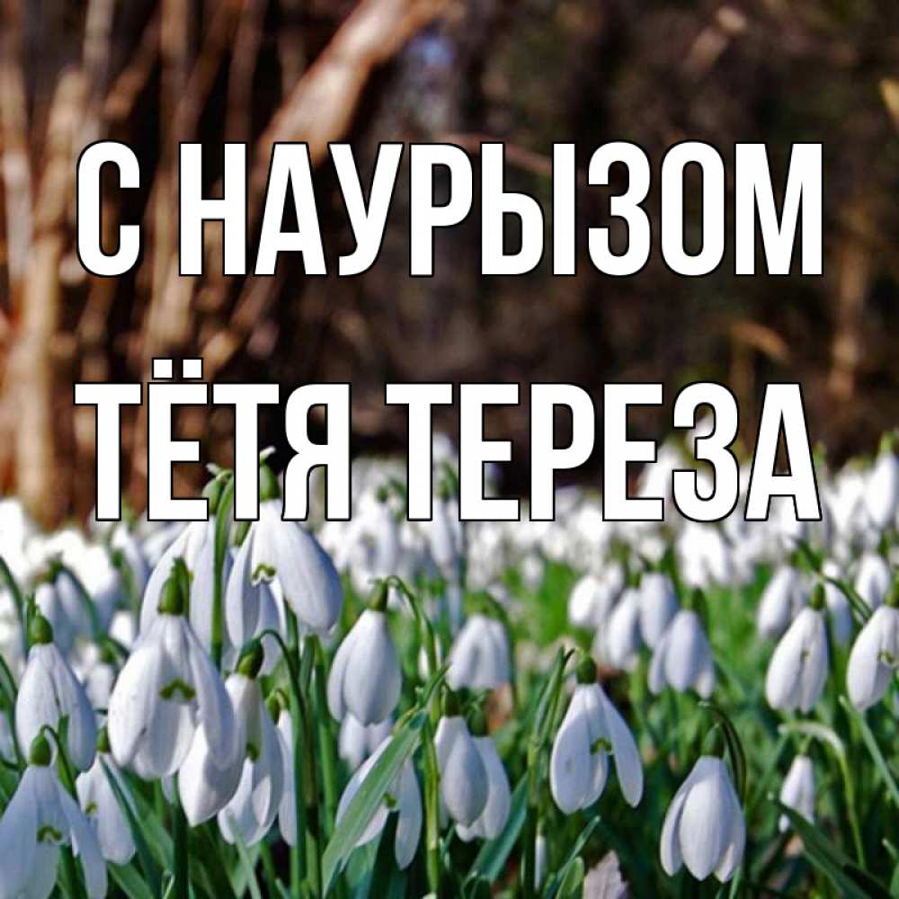 Открытка на каждый день с именем, Тётя-Тереза С наурызом с подснежниками 1 Прикольная открытка с пожеланием онлайн скачать бесплатно 