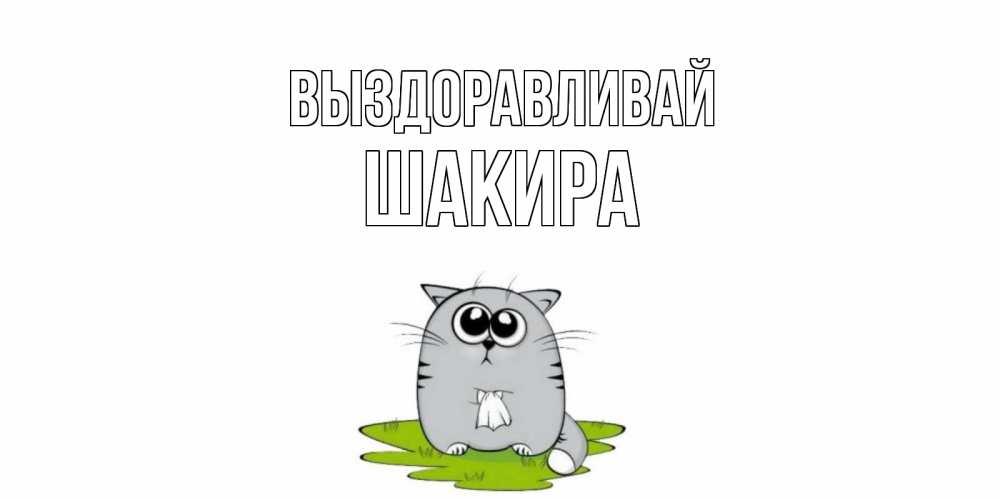 Открытка на каждый день с именем, Шакира Выздоравливай кот и открытки про выздоровление Прикольная открытка с пожеланием онлайн скачать бесплатно 