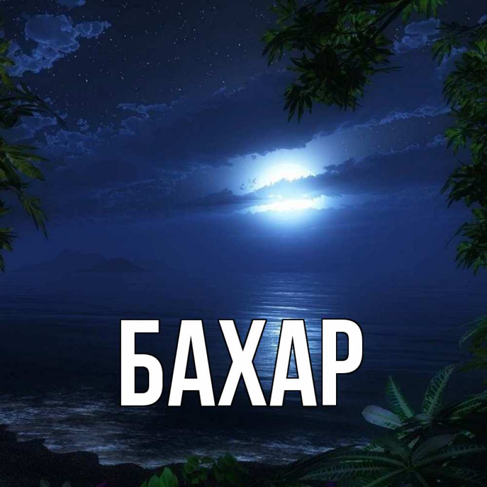 Открытка на каждый день с именем, Бахар Главная тропический остров Прикольная открытка с пожеланием онлайн скачать бесплатно 