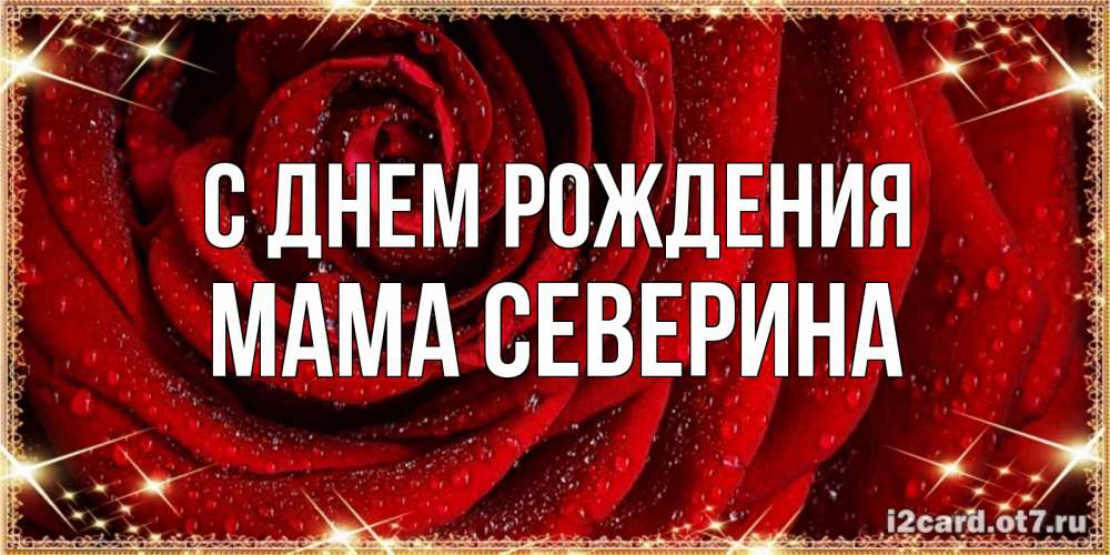 Открытка на каждый день с именем, Мама-Северина С днем рождения роса на розе блестящая в лучах солнца Прикольная открытка с пожеланием онлайн скачать бесплатно 