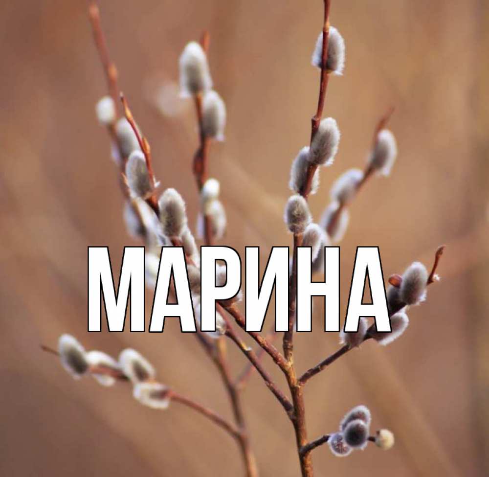 Открытка на каждый день с именем, Марина Главная верба Прикольная открытка с пожеланием онлайн скачать бесплатно 
