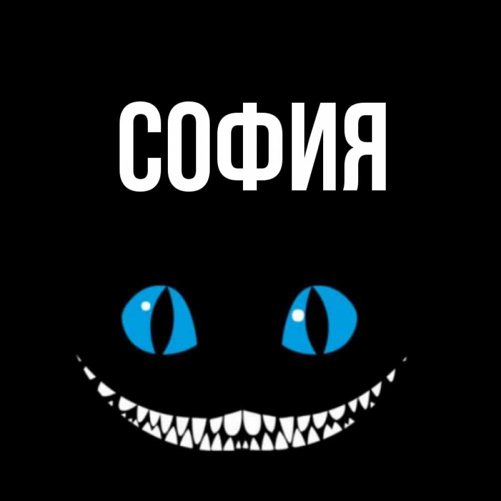Открытка на каждый день с именем, София Главная голубые глаза и зубки Прикольная открытка с пожеланием онлайн скачать бесплатно 