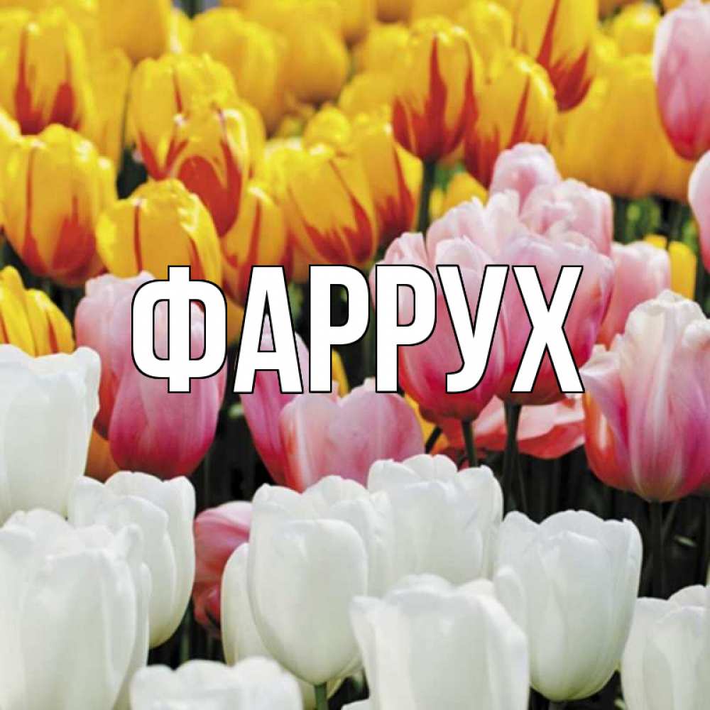 Картинка  с именем , Фаррух