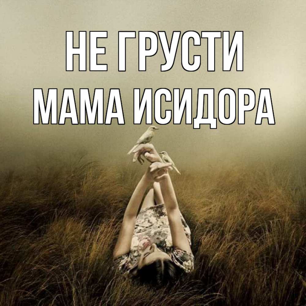 Открытка на каждый день с именем, Мама-Исидора Не грусти поле и туман Прикольная открытка с пожеланием онлайн скачать бесплатно 