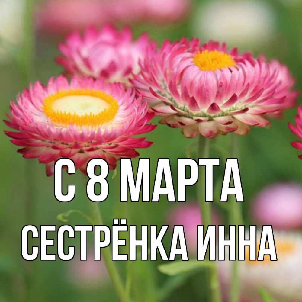 Открытка на каждый день с именем, Сестрёнка-Инна С 8 МАРТА подарок на международный женский день Прикольная открытка с пожеланием онлайн скачать бесплатно 