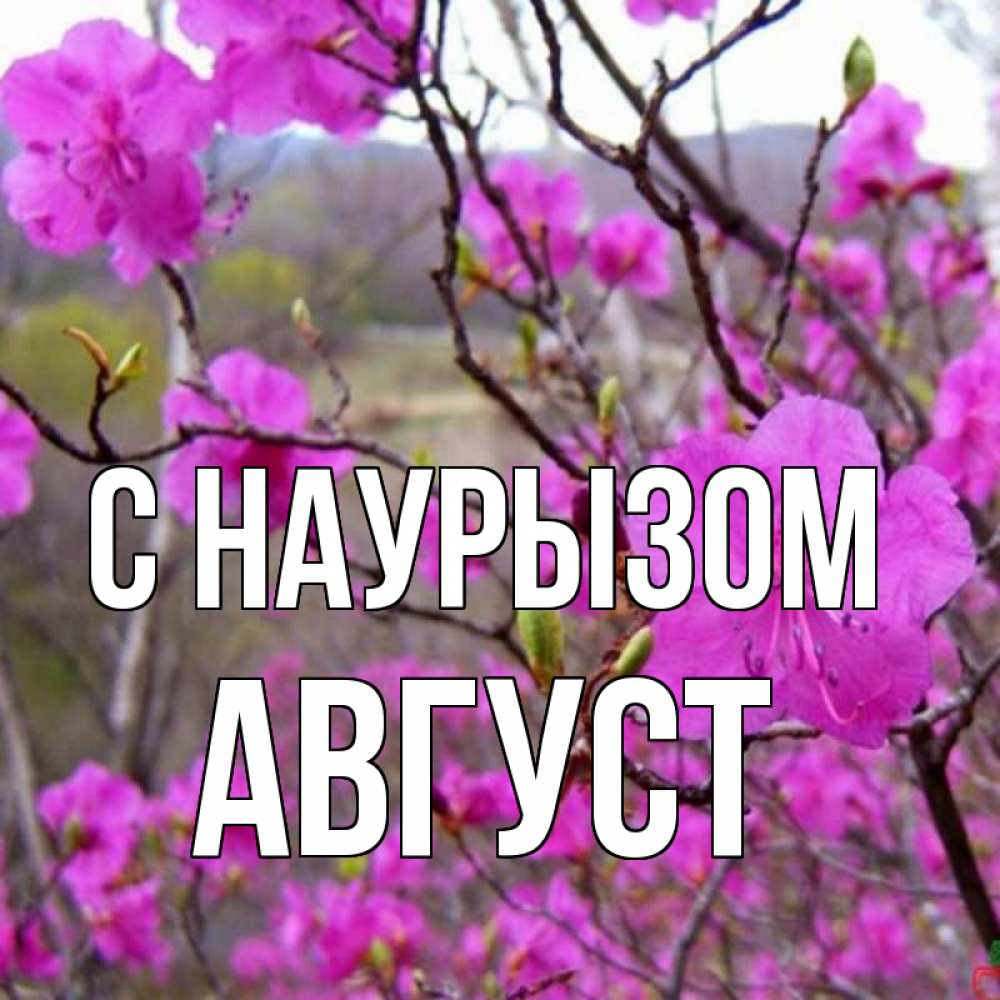 Открытка на каждый день с именем, Август С наурызом праздник весны наурыз Прикольная открытка с пожеланием онлайн скачать бесплатно 