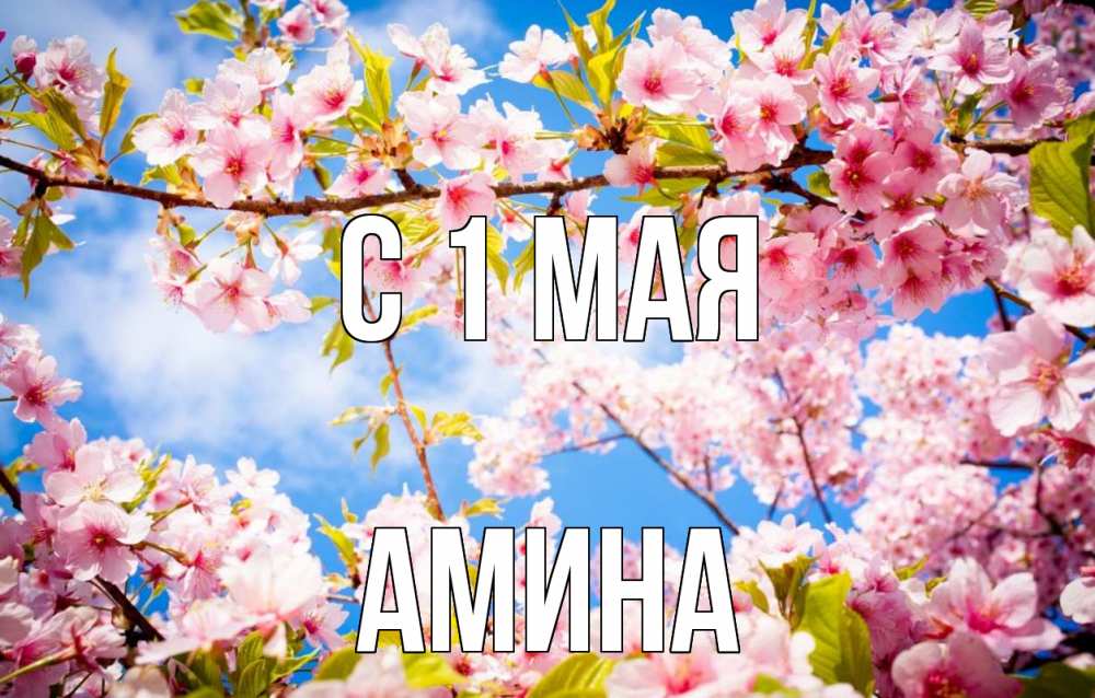 Открытка на каждый день с именем, Амина С 1 мая С 1 мая Прикольная открытка с пожеланием онлайн скачать бесплатно 