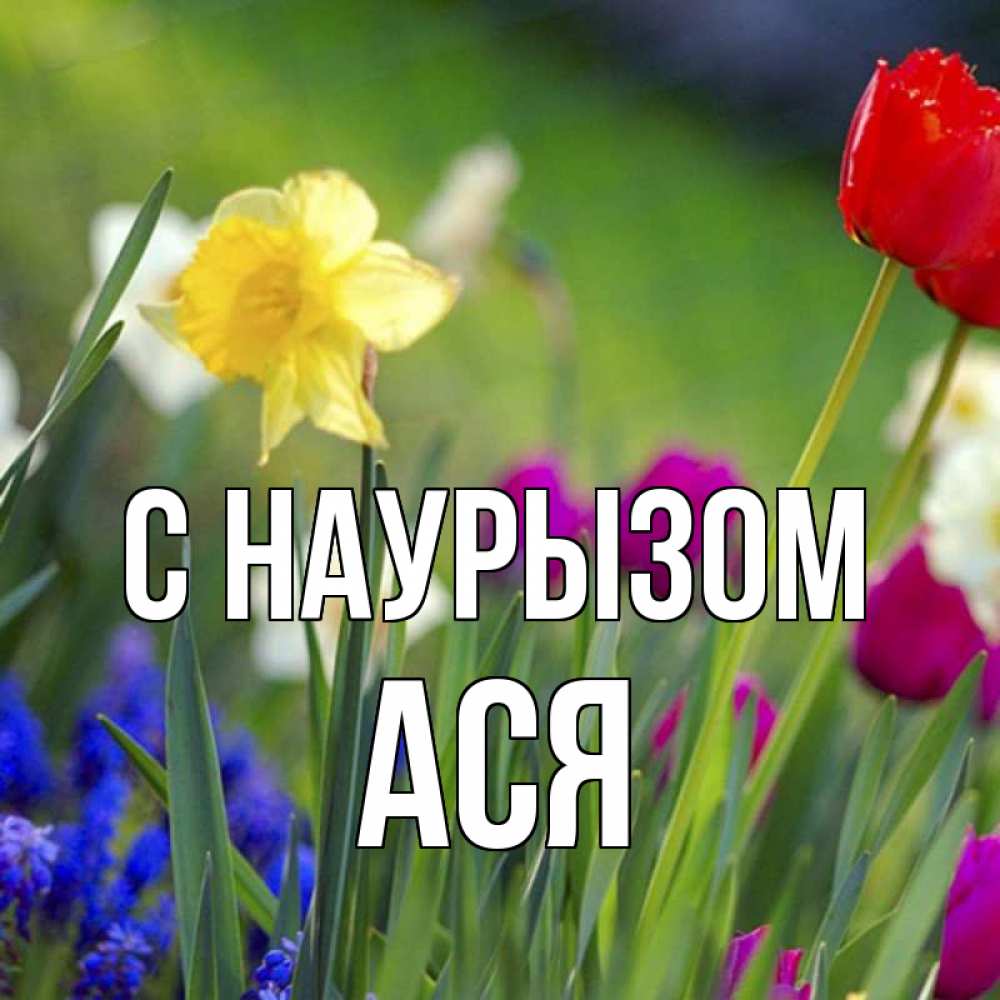 Открытка на каждый день с именем, Ася С наурызом праздник весны наурыз 3 Прикольная открытка с пожеланием онлайн скачать бесплатно 