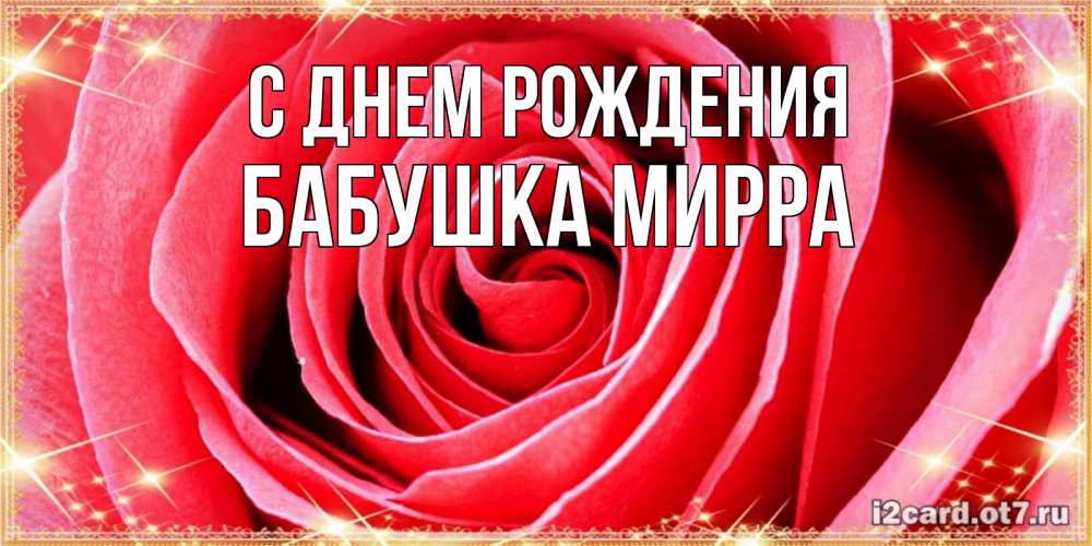 Открытка на каждый день с именем, Бабушка-Мирра С днем рождения розовая роза очень крупный бутон Прикольная открытка с пожеланием онлайн скачать бесплатно 