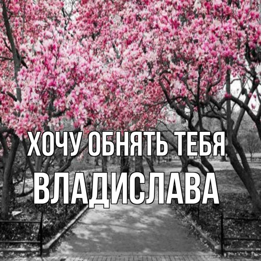Открытка на каждый день с именем, Владислава Хочу обнять тебя обработанное фото Прикольная открытка с пожеланием онлайн скачать бесплатно 