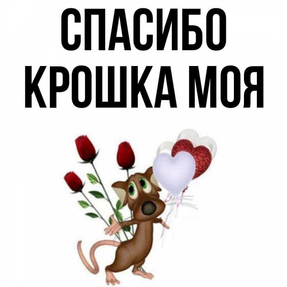 Спасибо Моя Крошка