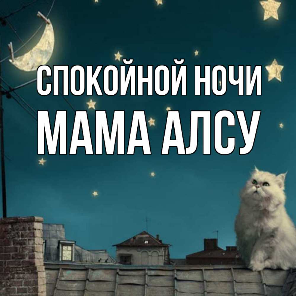 Открытка на каждый день с именем, Мама-Алсу Спокойной ночи белый кот сидит на крыше Прикольная открытка с пожеланием онлайн скачать бесплатно 