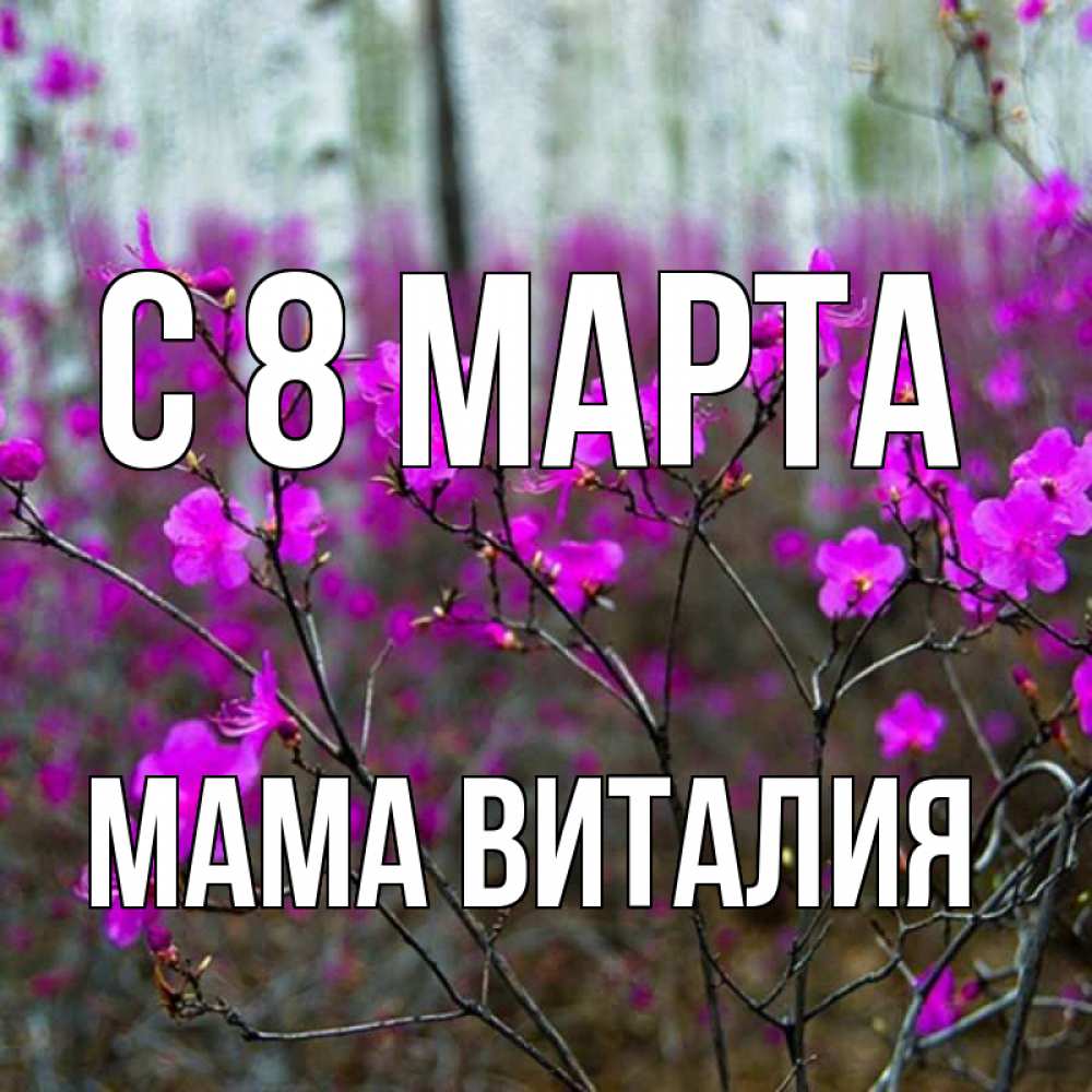 Открытка на каждый день с именем, Мама-Виталия С 8 марта дикие цветы Прикольная открытка с пожеланием онлайн скачать бесплатно 