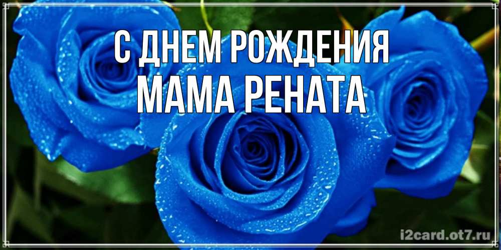 Открытка на каждый день с именем, Мама-Рената С днем рождения розы с синим цветом Прикольная открытка с пожеланием онлайн скачать бесплатно 