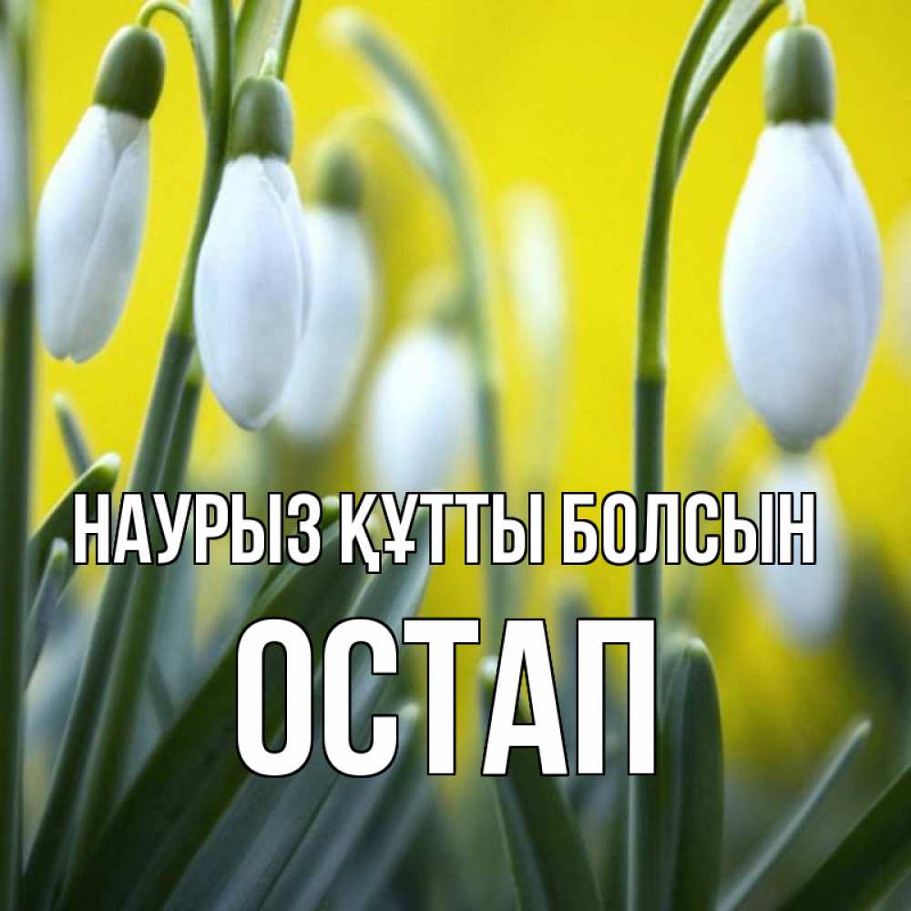 Открытка на каждый день с именем, Остап Наурыз құтты болсын весенние цветы Прикольная открытка с пожеланием онлайн скачать бесплатно 