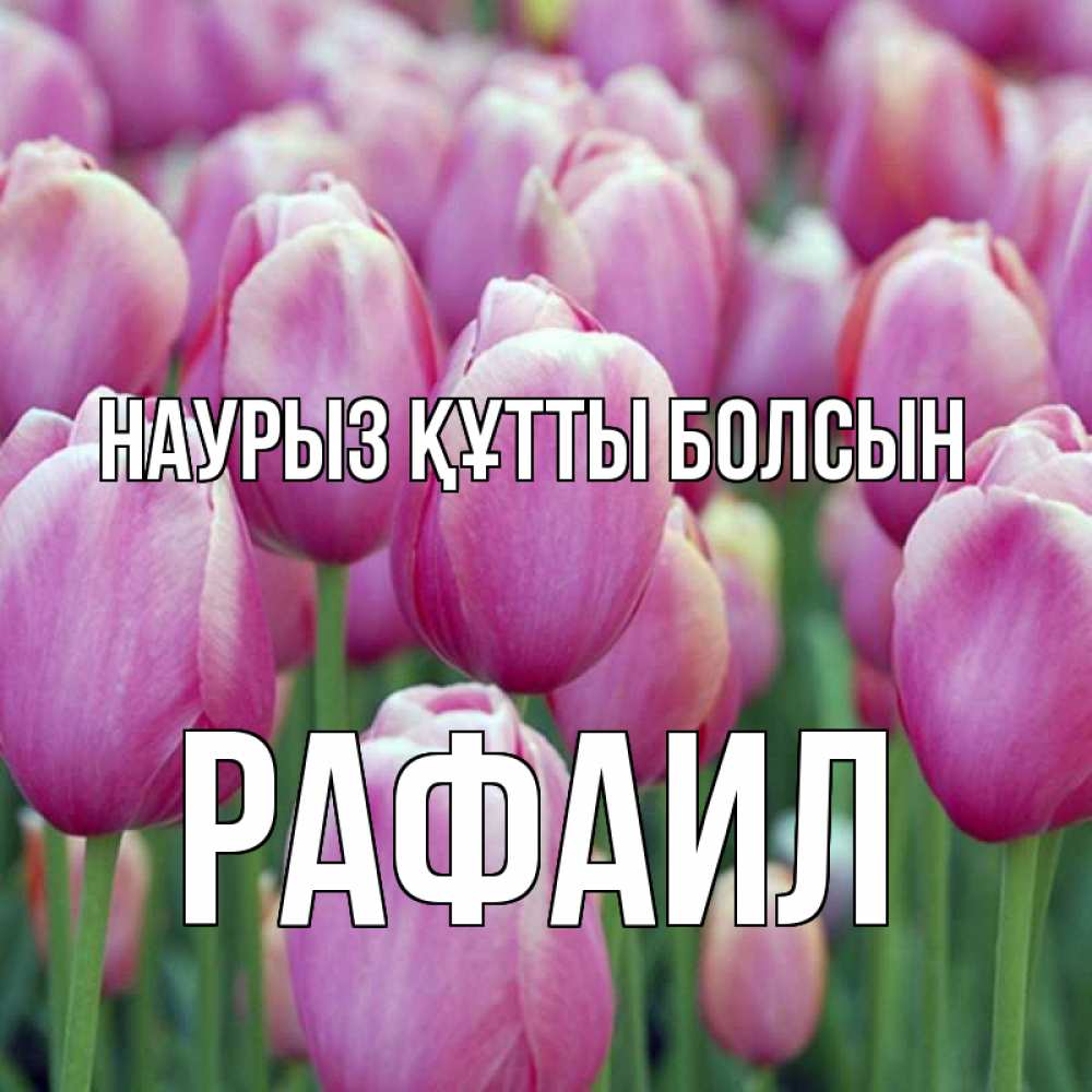 Открытка на каждый день с именем, Рафаил Наурыз құтты болсын на наурыз  день 3 Прикольная открытка с пожеланием онлайн скачать бесплатно 