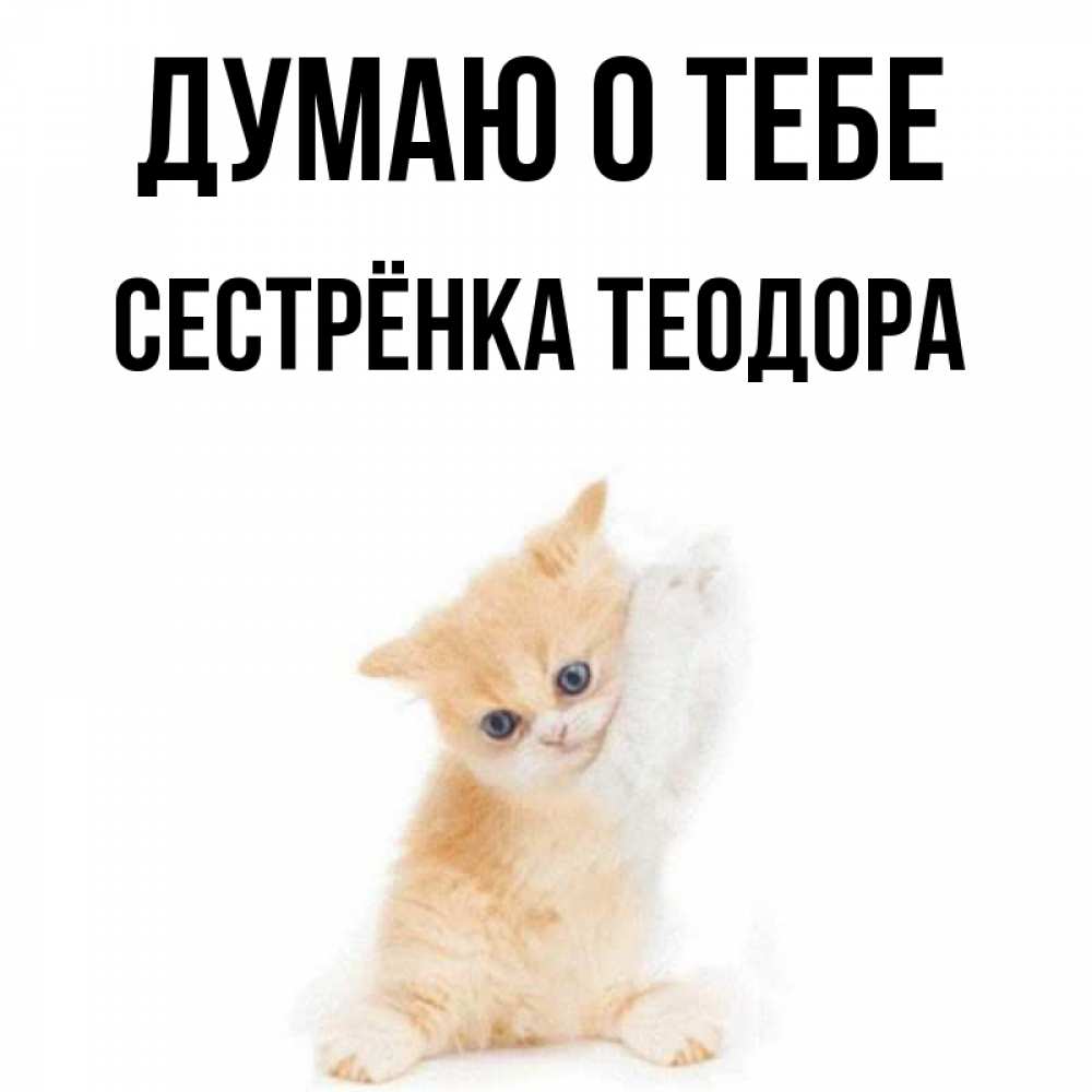 Открытка на каждый день с именем, Сестрёнка-Теодора Думаю о тебе зверушки и милота Прикольная открытка с пожеланием онлайн скачать бесплатно 