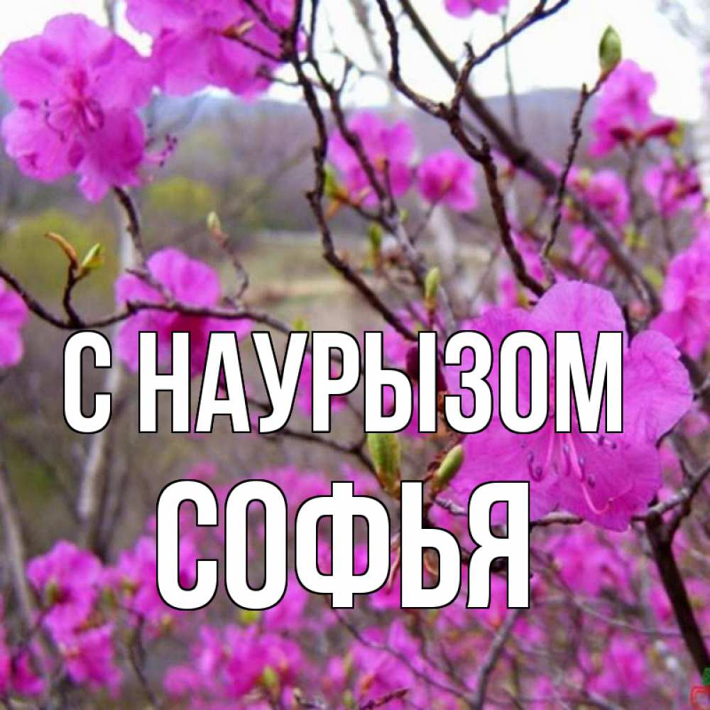 Открытка на каждый день с именем, Софья С наурызом праздник весны наурыз Прикольная открытка с пожеланием онлайн скачать бесплатно 