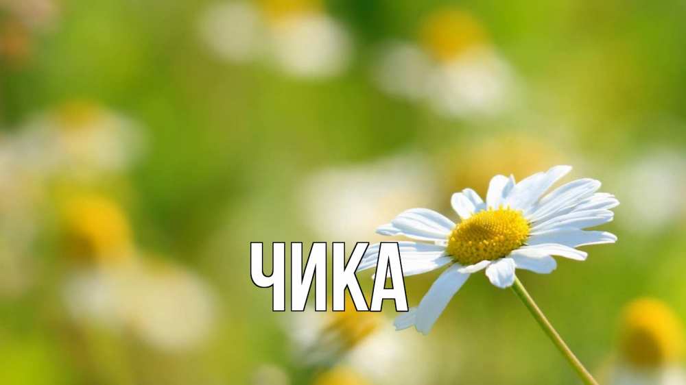 Открытка на каждый день с именем, Чика Главная с днем семьи  1 Прикольная открытка с пожеланием онлайн скачать бесплатно 