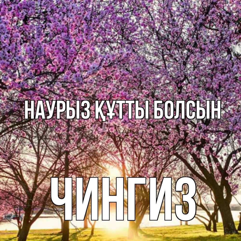 Открытка на каждый день с именем, Чингиз Наурыз құтты болсын наурыз Прикольная открытка с пожеланием онлайн скачать бесплатно 