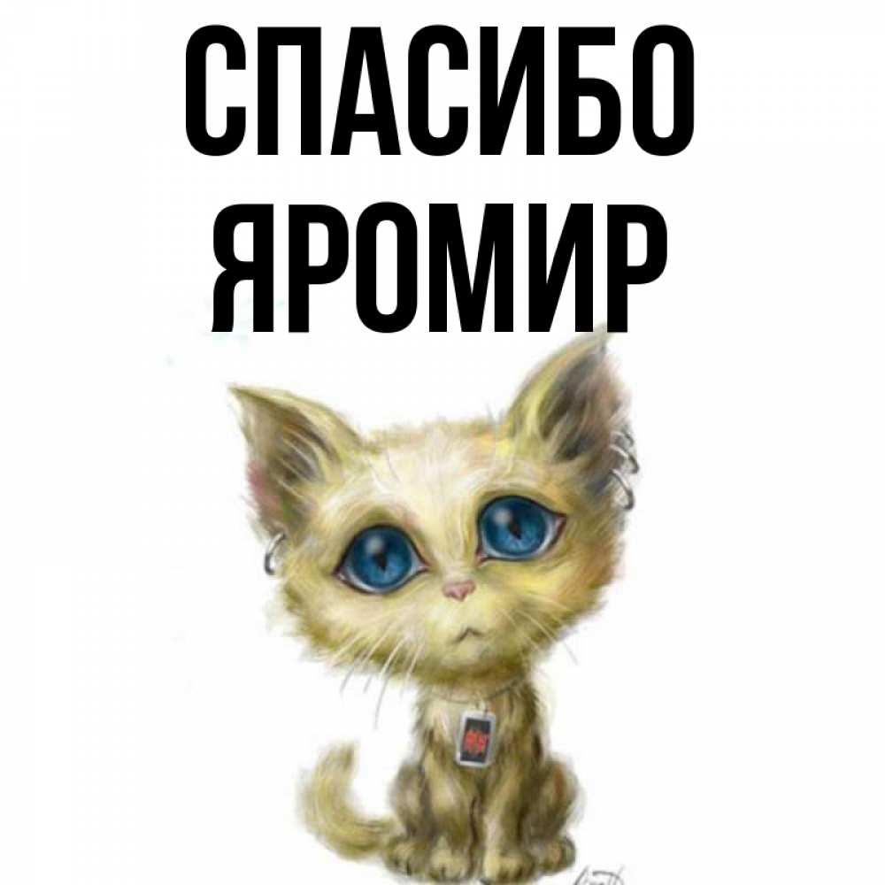 Открытка на каждый день с именем, Яромир Спасибо рисованный кот благодарит вас Прикольная открытка с пожеланием онлайн скачать бесплатно 