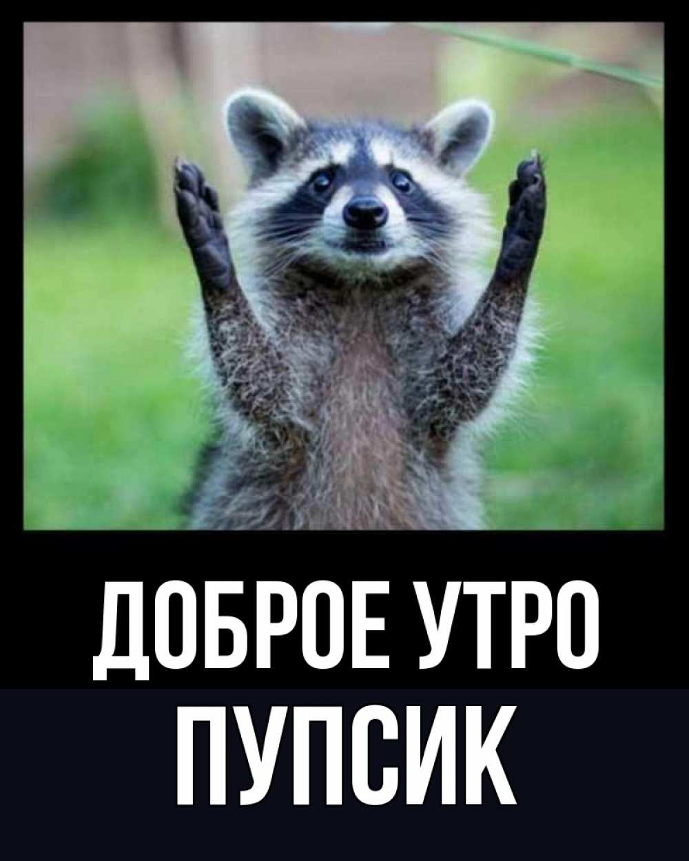 Открытка на каждый день с именем, пупсик Доброе утро хорошее настроение утречком Прикольная открытка с пожеланием онлайн скачать бесплатно 