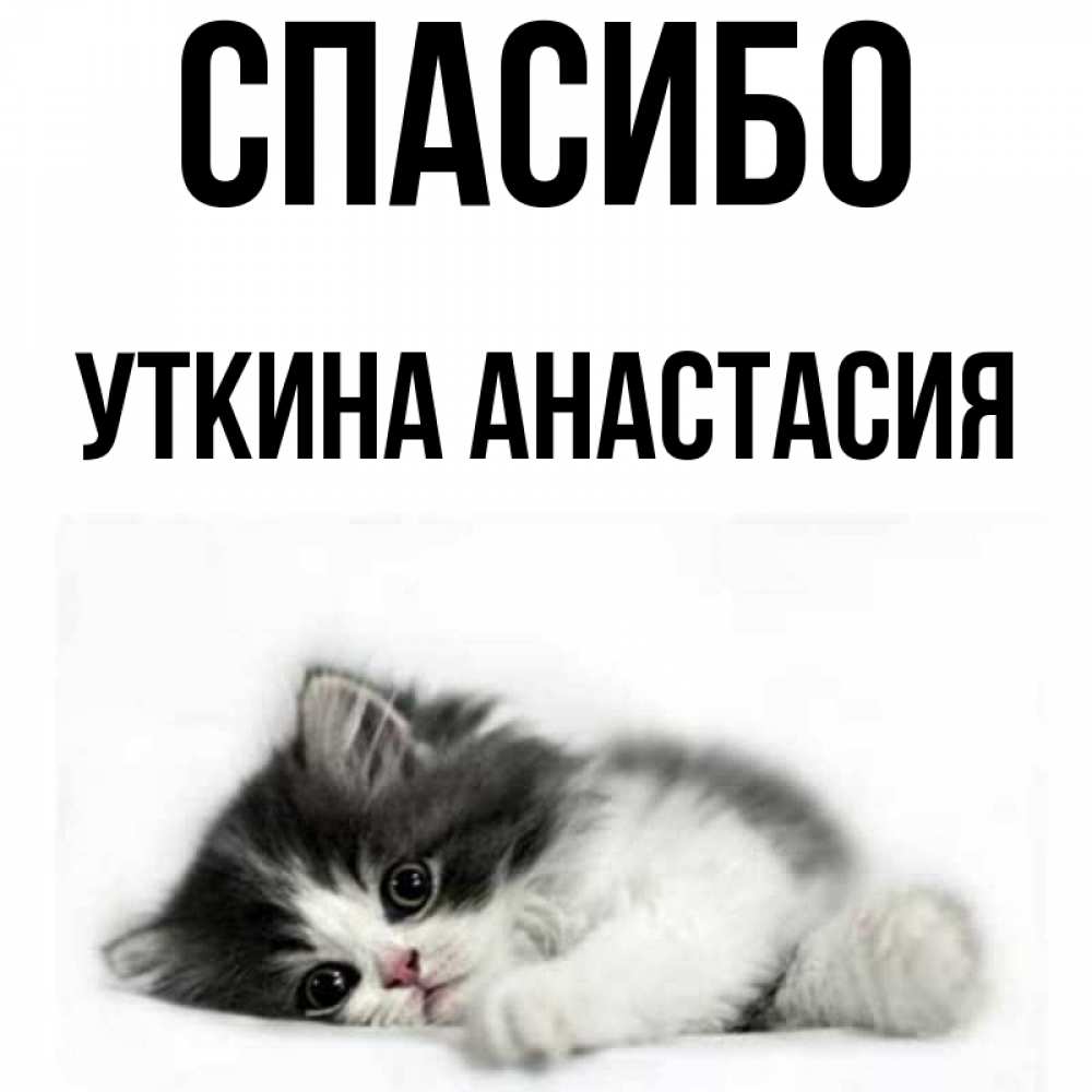 Дать анастасие или. Дать анастасие или