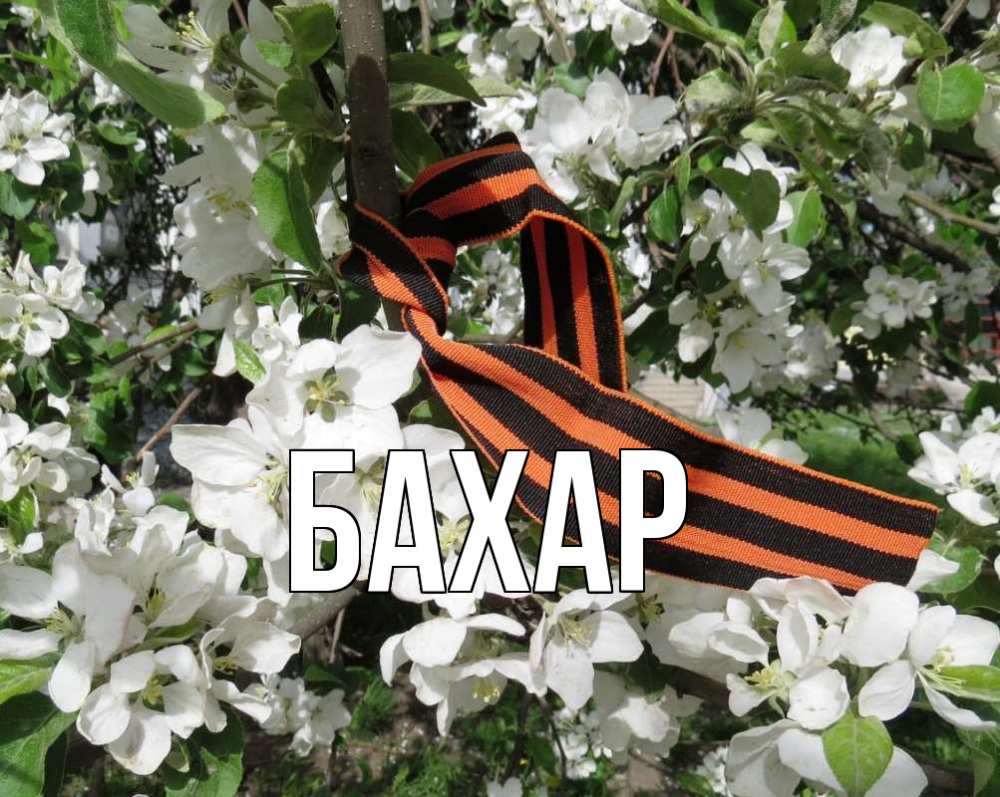 Открытка на каждый день с именем, Бахар Главная 9 мая Прикольная открытка с пожеланием онлайн скачать бесплатно 