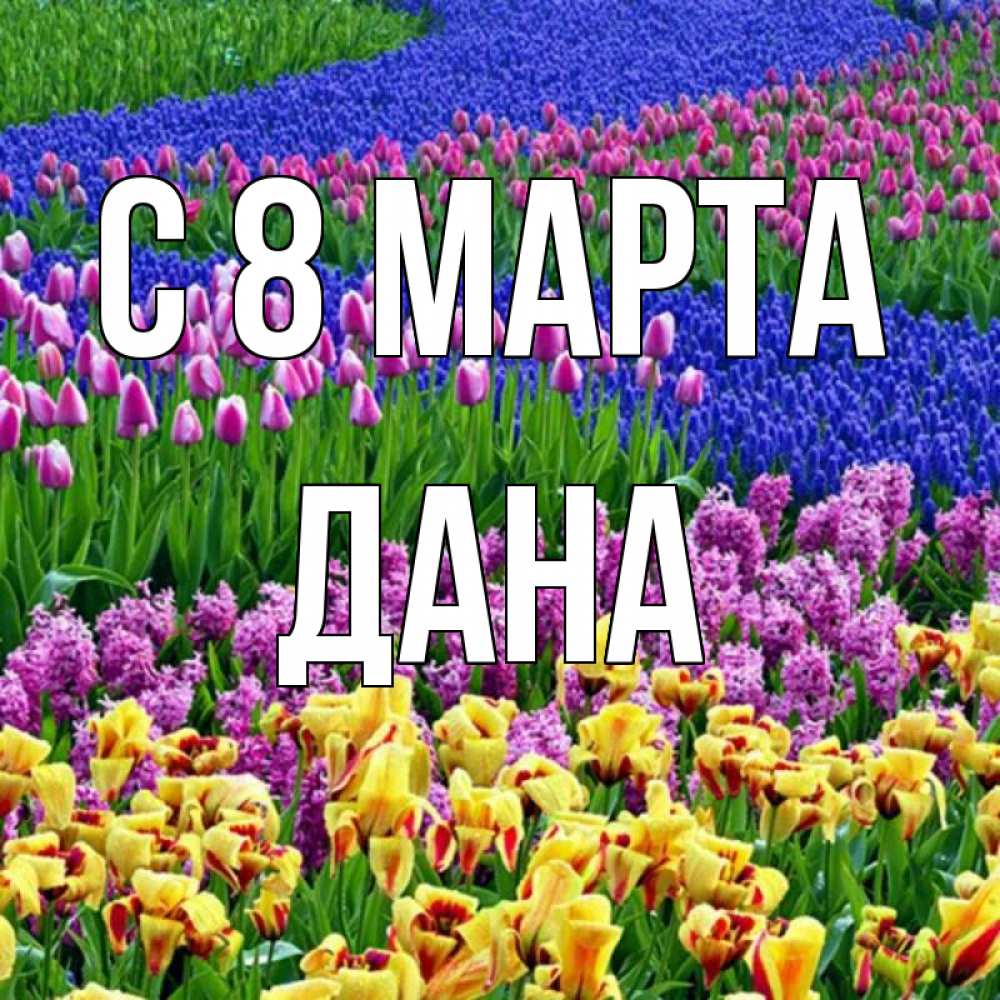 Открытка на каждый день с именем, Дана С 8 МАРТА цветы Прикольная открытка с пожеланием онлайн скачать бесплатно 
