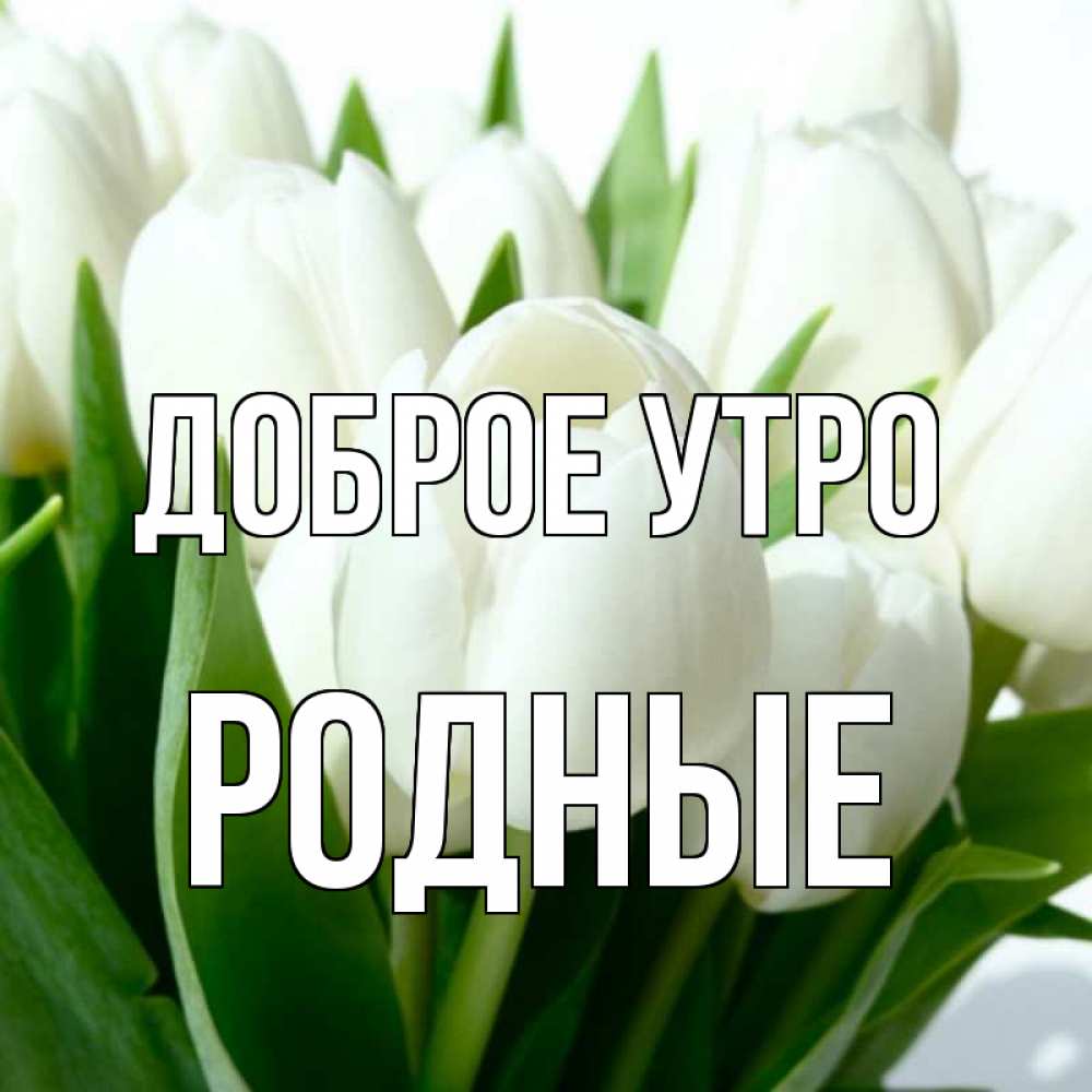Картинка Доброе утро, Родные