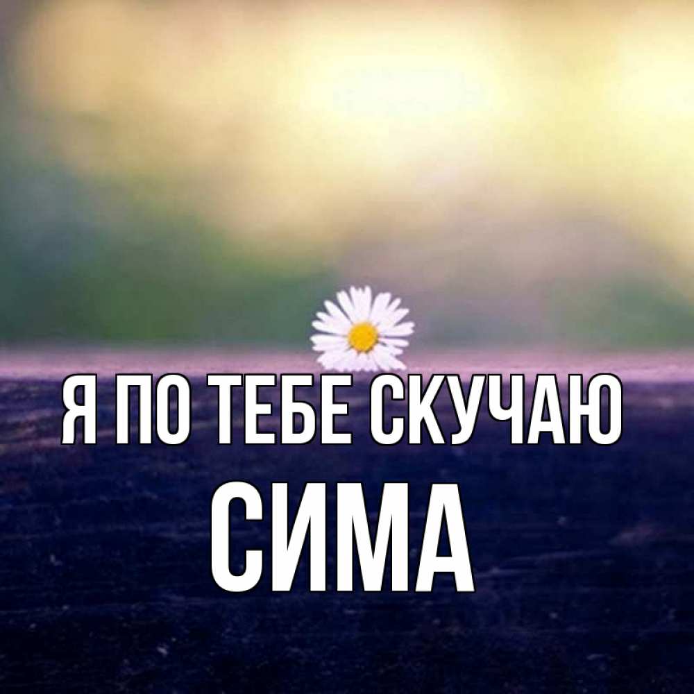 Открытка на каждый день с именем, Сима Я по тебе скучаю приходи в гости Прикольная открытка с пожеланием онлайн скачать бесплатно 