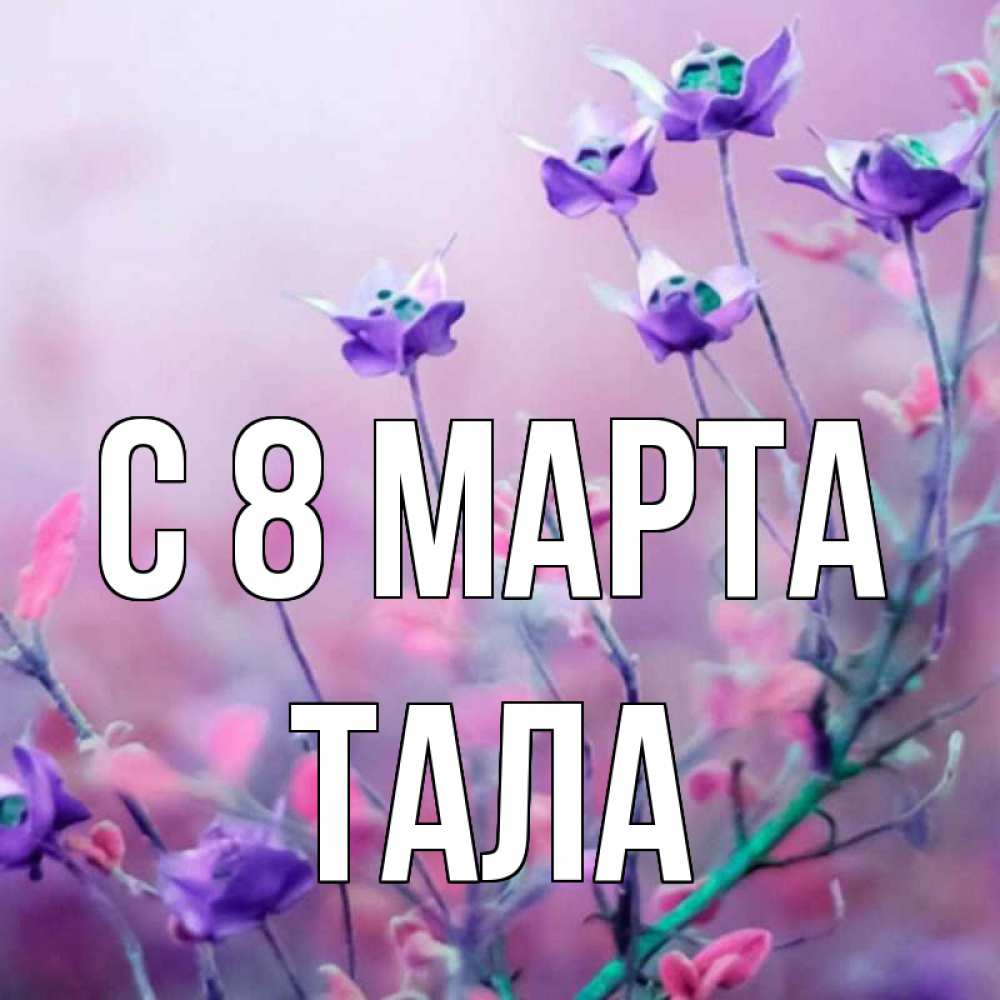 Открытка на каждый день с именем, Тала С 8 МАРТА международный женский день 2 Прикольная открытка с пожеланием онлайн скачать бесплатно 