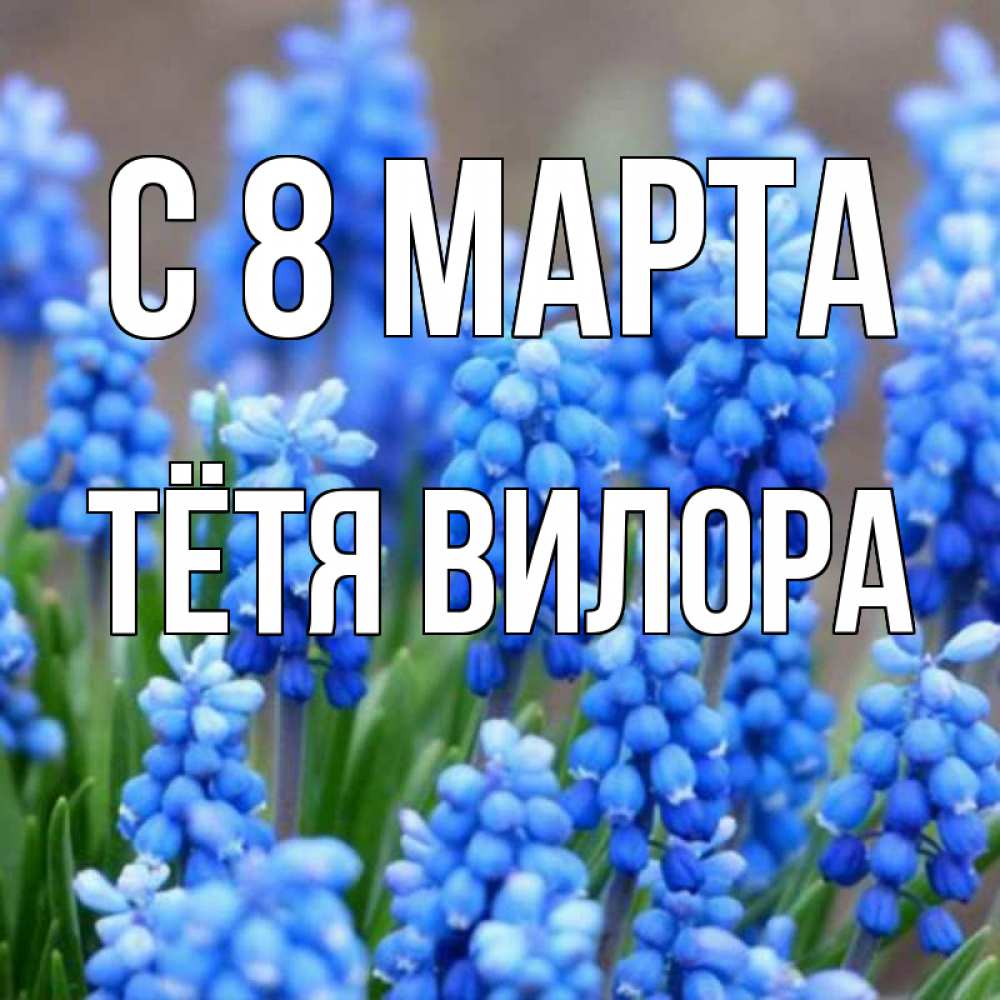 Открытка на каждый день с именем, Тётя-Вилора С 8 марта Поздравительная открытка для женщин с цветами на праздничную дату Прикольная открытка с пожеланием онлайн скачать бесплатно 