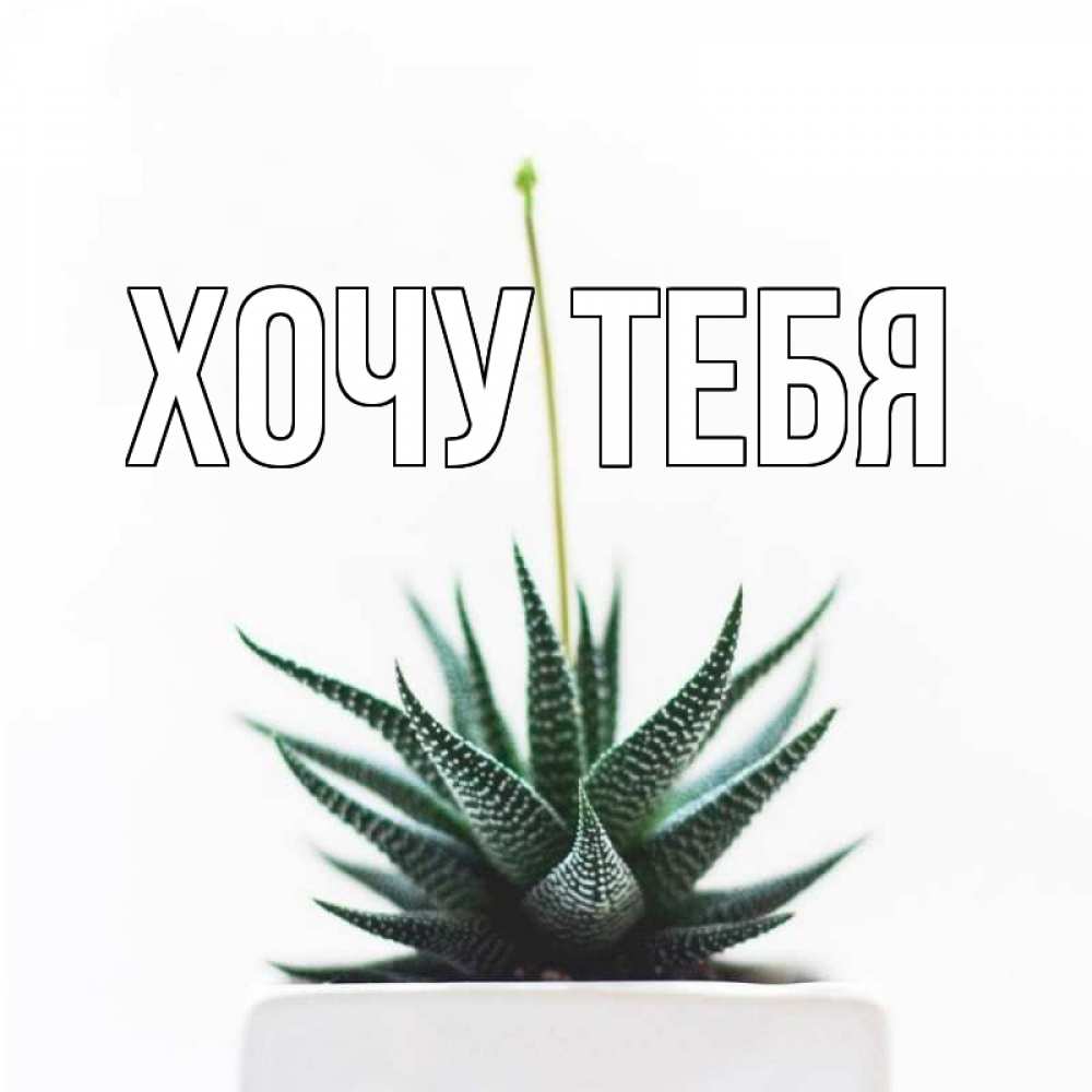 Открытка на каждый день с именем, Хочу-тебя Главная короче это непонятная колючка Прикольная открытка с пожеланием онлайн скачать бесплатно 