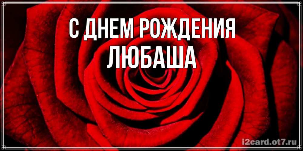 Открытка на каждый день с именем, Любаша С днем рождения алая роза Прикольная открытка с пожеланием онлайн скачать бесплатно 