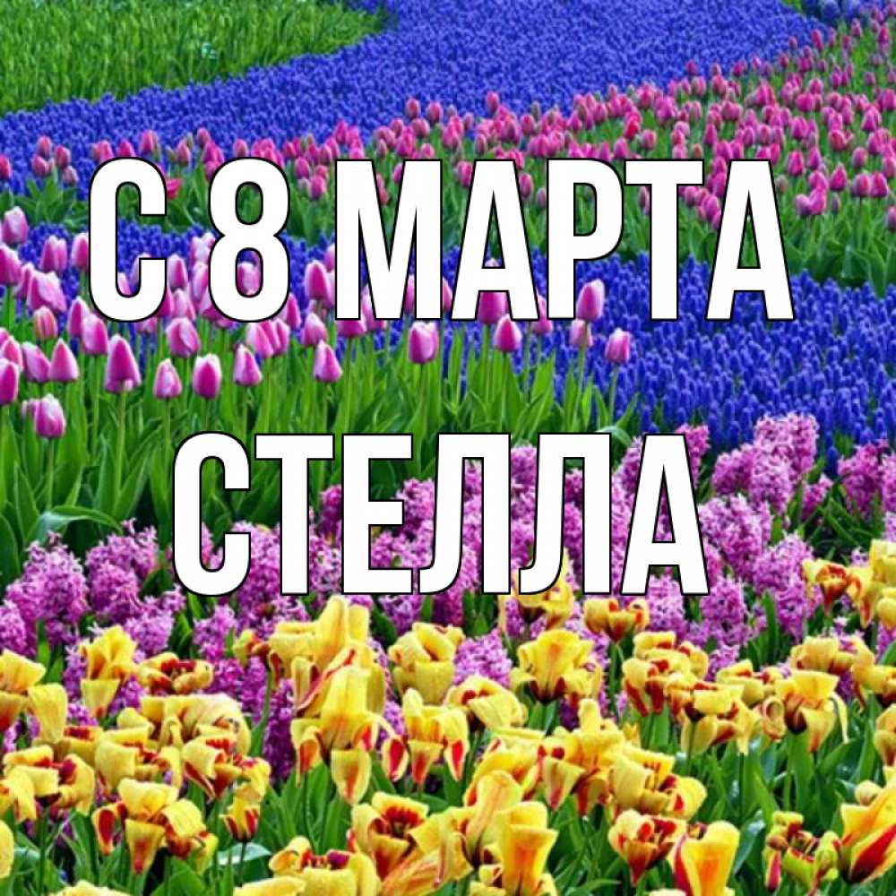 Картинка С 8 МАРТА, Стелла