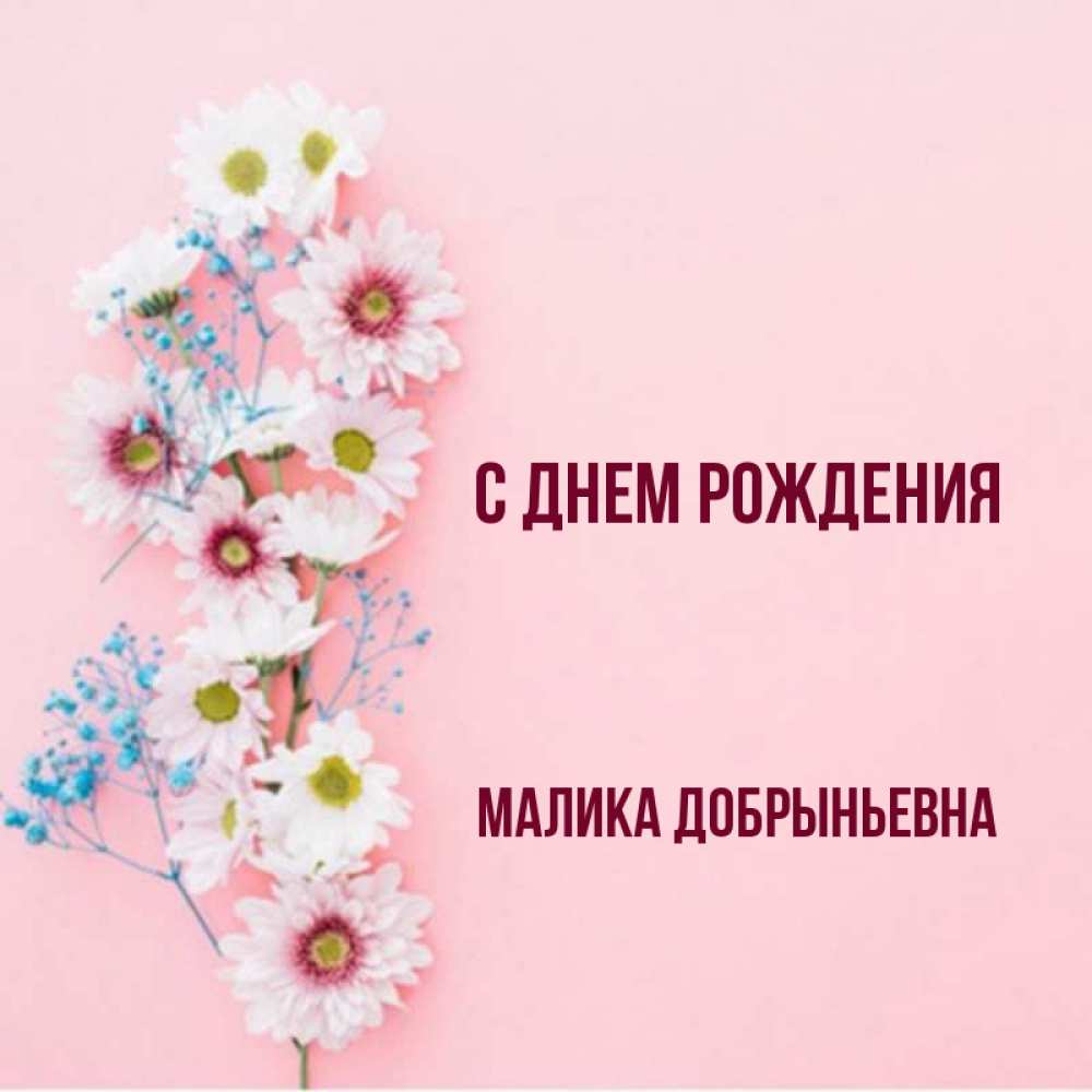 С днем рождения малика