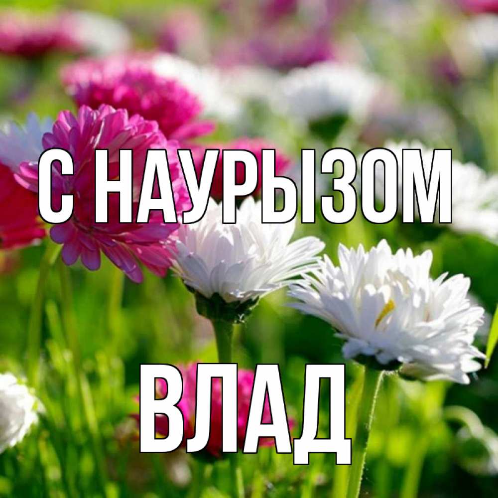 Картинка С наурызом, Влад