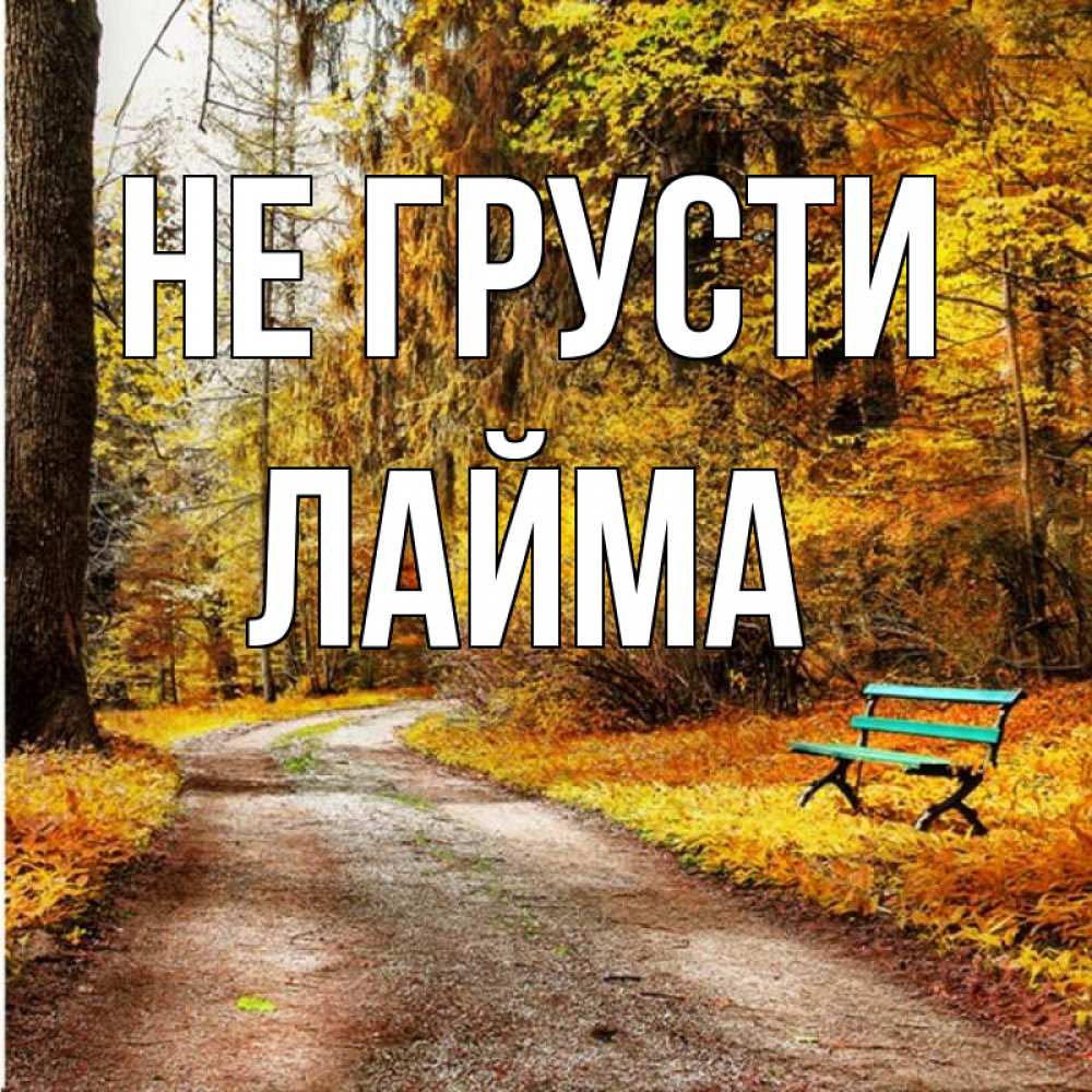 Открытка на каждый день с именем, Лайма Не грусти зеленая лавочка Прикольная открытка с пожеланием онлайн скачать бесплатно 