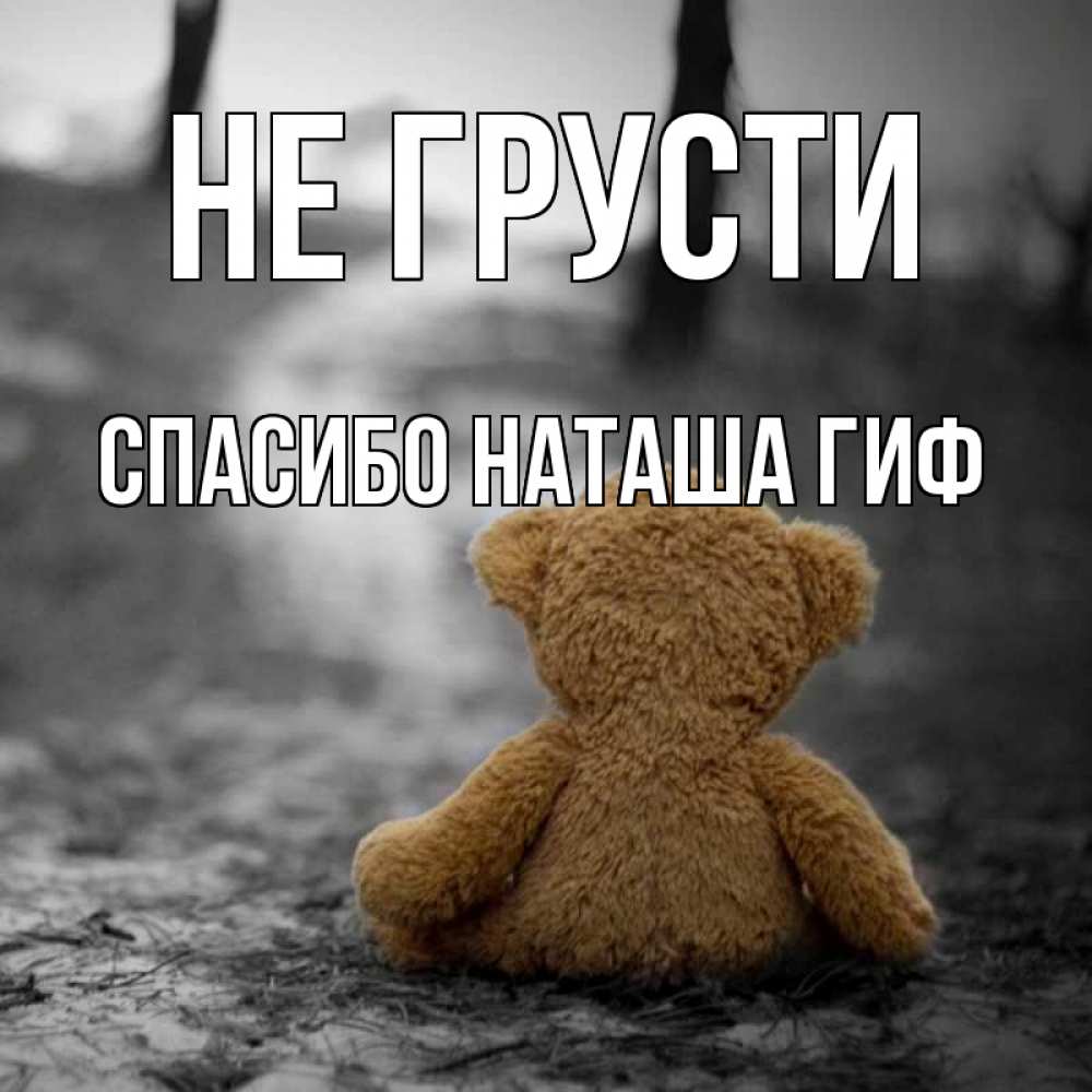 Открытка на каждый день с именем, СПАСИБО-НАТАША-ГИФ Не грусти медведь со спин Прикольная открытка с пожеланием онлайн скачать бесплатно 