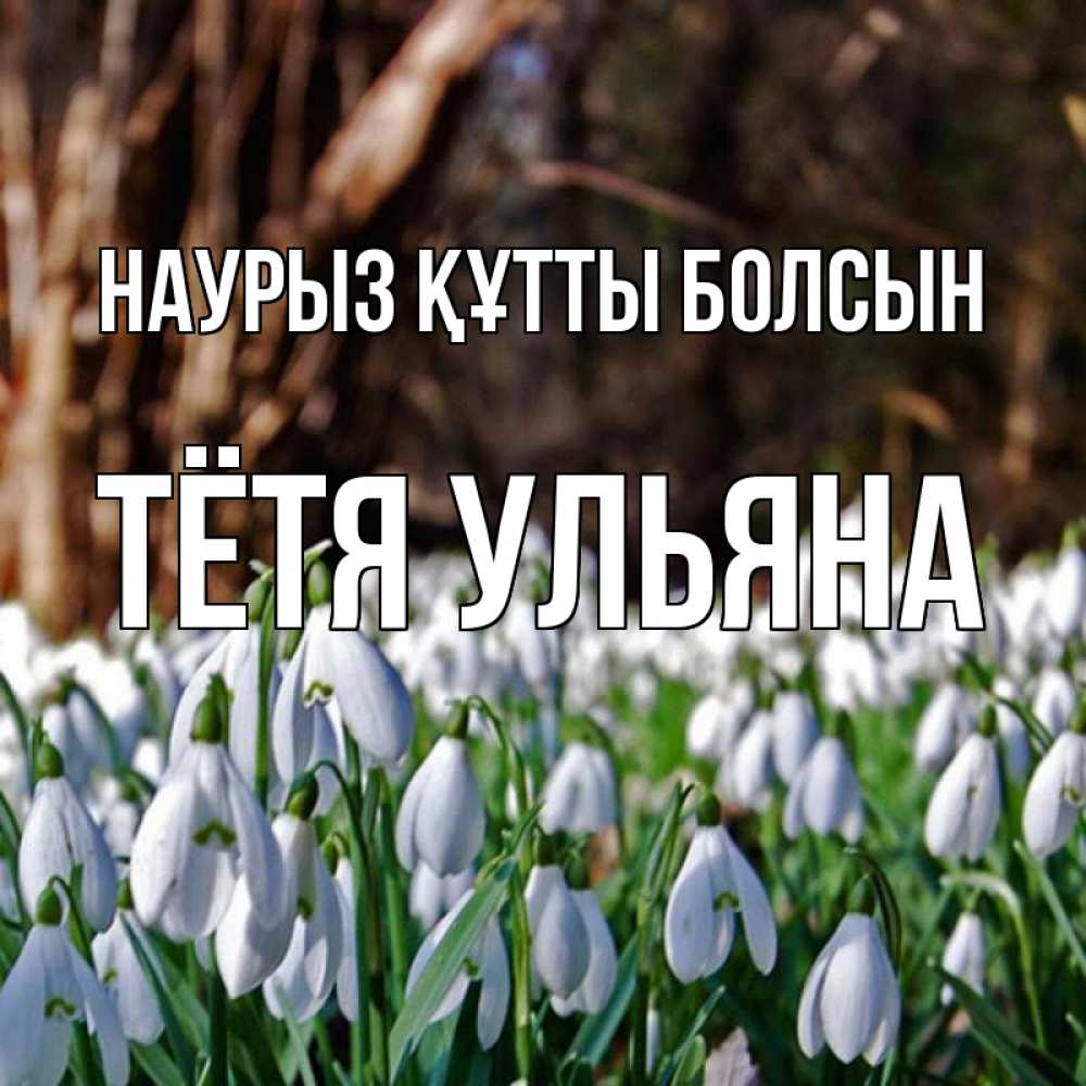 Открытка на каждый день с именем, Тётя-Ульяна Наурыз құтты болсын с подснежниками 1 Прикольная открытка с пожеланием онлайн скачать бесплатно 