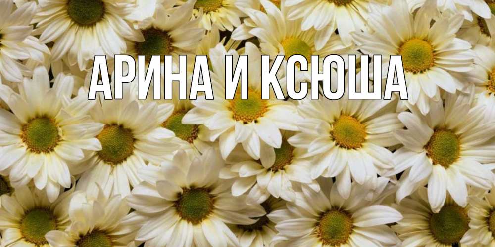 Открытка на каждый день с именем, Арина-и-Ксюша Главная крупные ромашки Прикольная открытка с пожеланием онлайн скачать бесплатно 