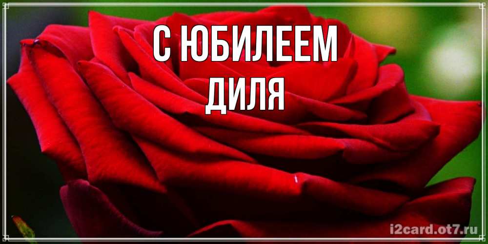 Открытка на каждый день с именем, Диля С юбилеем розочка очень красивая Прикольная открытка с пожеланием онлайн скачать бесплатно 